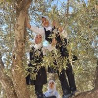 43429844_1767643983347074_5523889011413745664_n